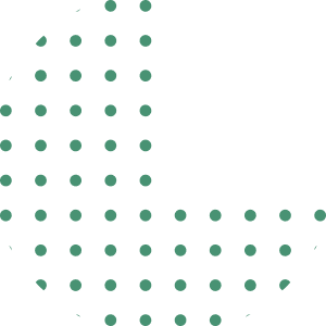 Ornament 11 (1)
