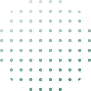 Ornament 11 (2)