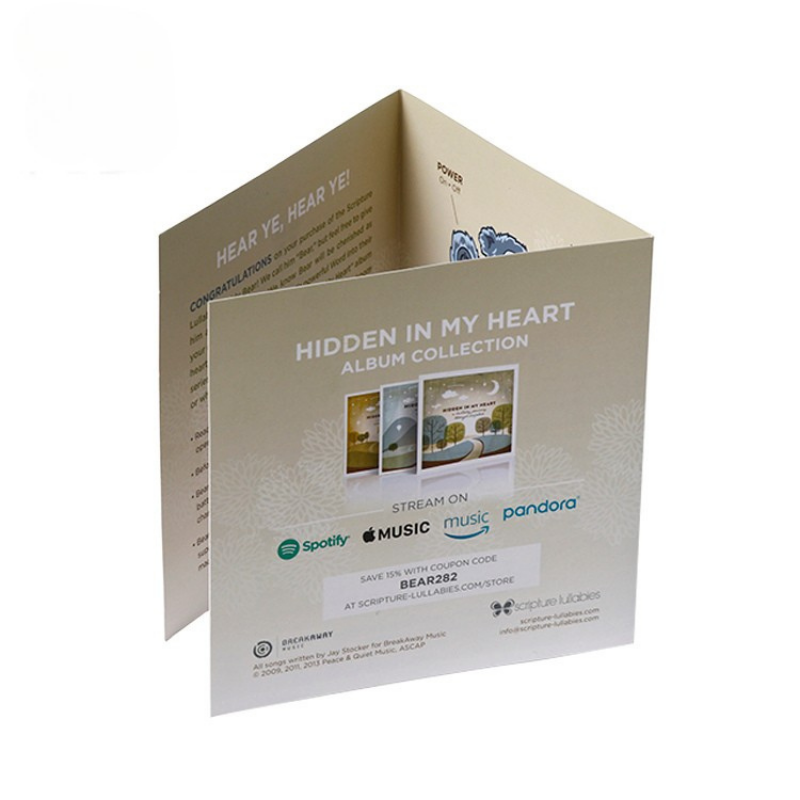Custom Bear Toy Brochure