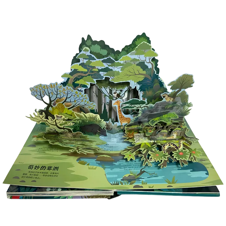 Livros de Encadernação Personalizada 4