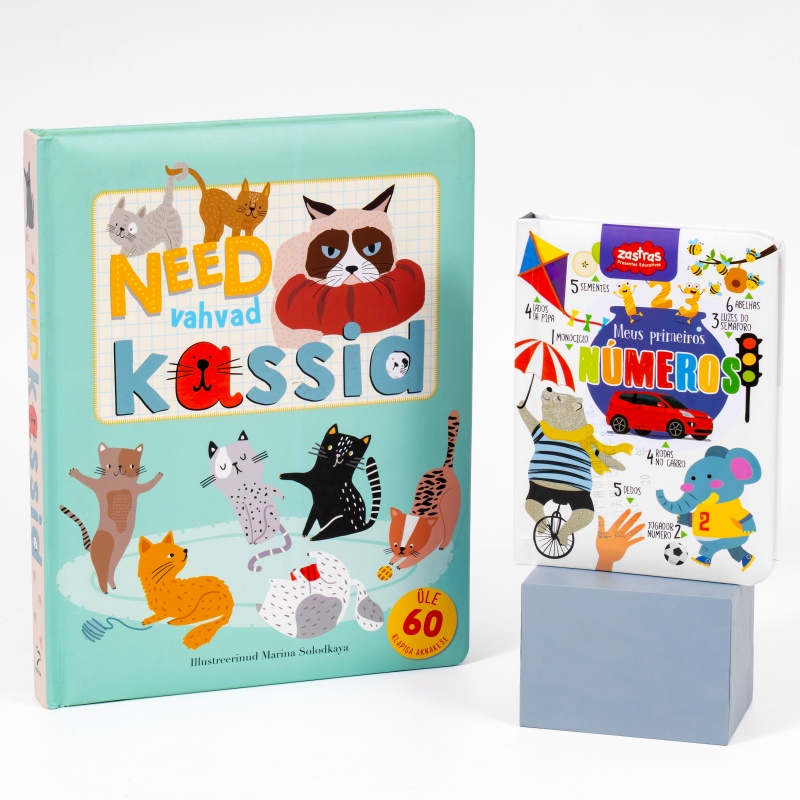 Custom Lift the Flap Board Books (7)