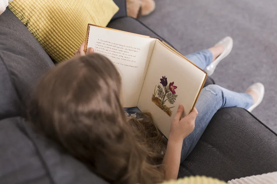 Ideal Kids Book Printing Solutions For Learning & Play2