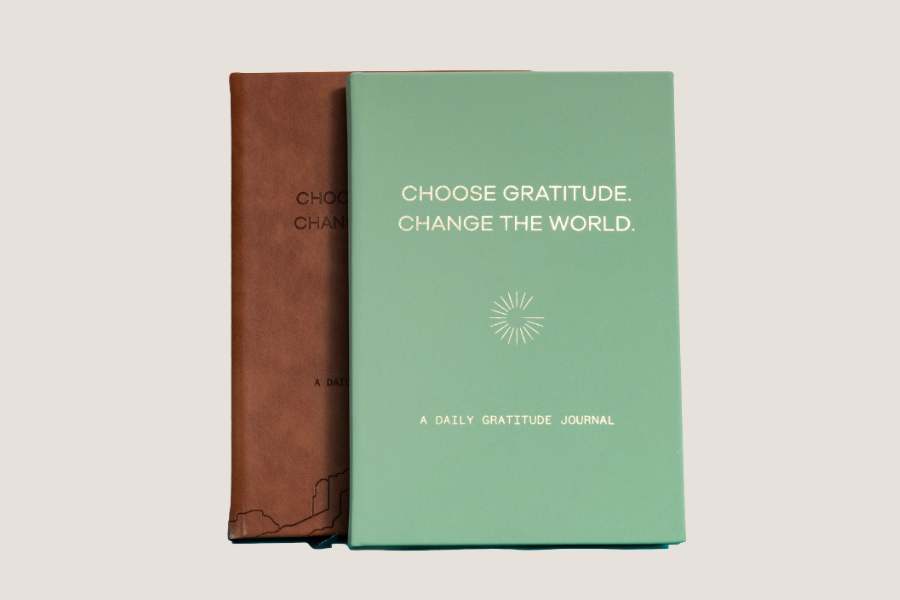 wellness journals (3)