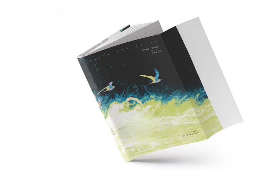 book dust jacket