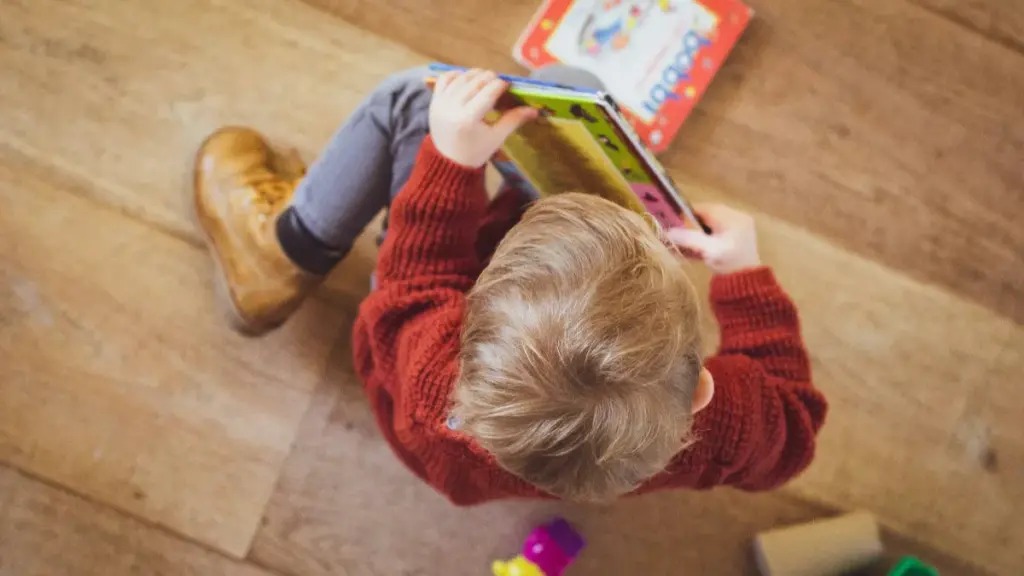 a toddler hoding a children book