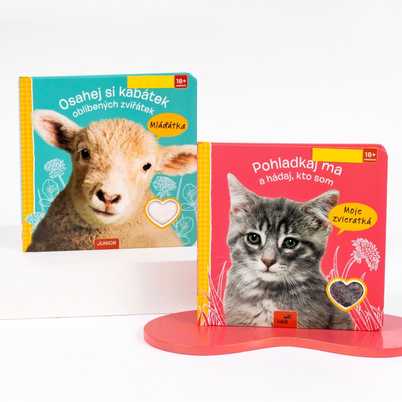 Custom Touch and Feel Children's Books (6)