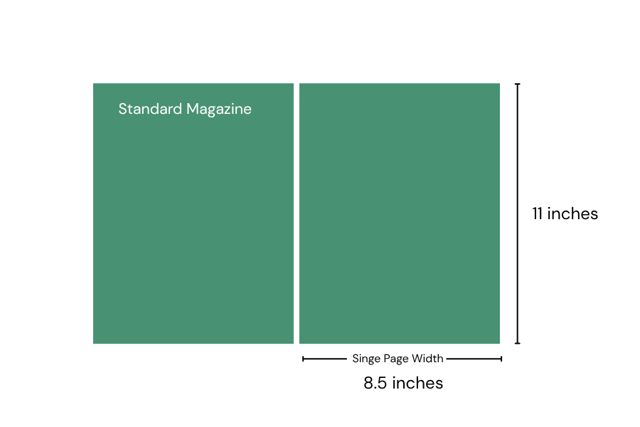 Standard Magazine Size1