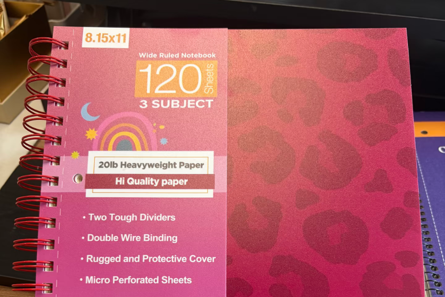 3 subject notebooks (1)