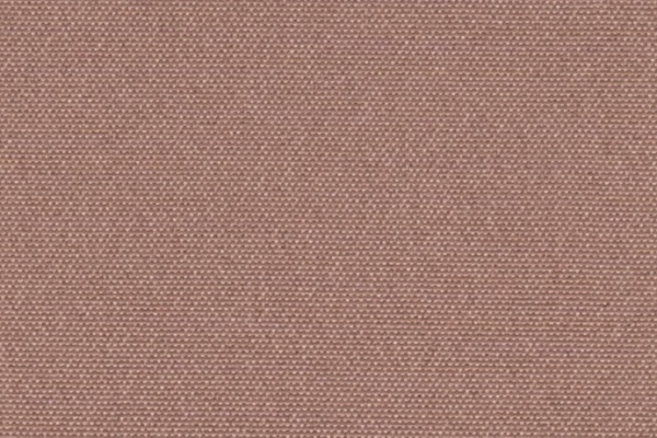 220203 Swatch