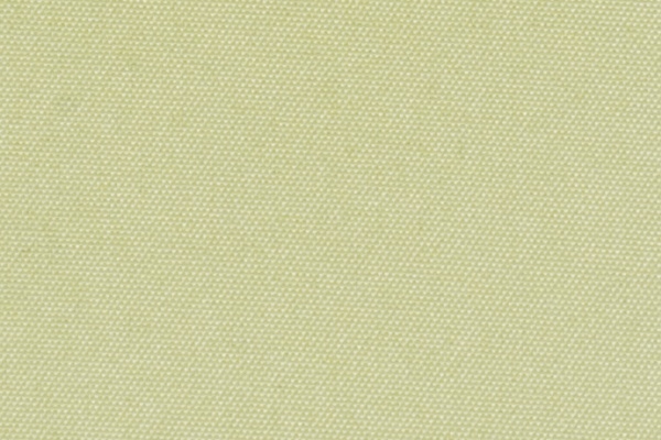 220204 Swatch