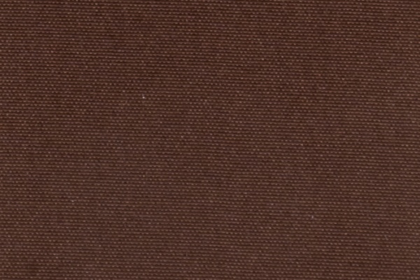 220206 Swatch