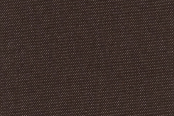 220209 Swatch