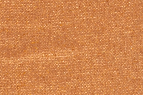 221602 Swatch