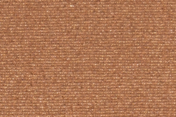 221605 Swatch