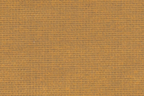221606 Swatch