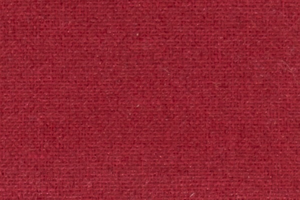 221608 Swatch
