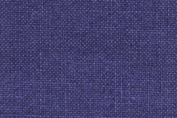 221609 Swatch