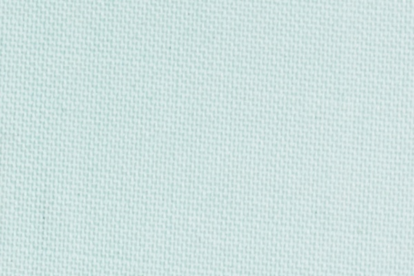 222505 Swatch