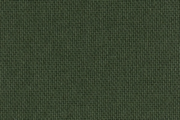222507 Swatch