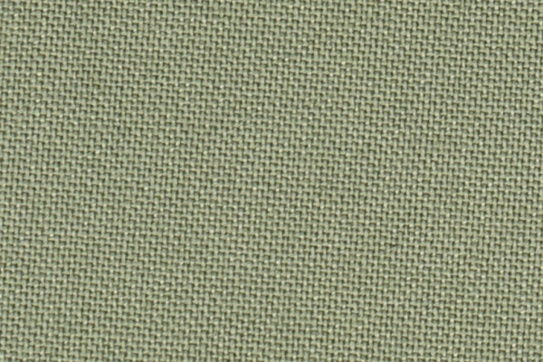 222602 Swatch