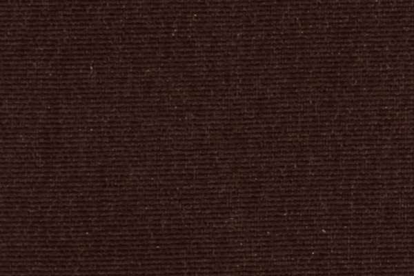 222605 Swatch