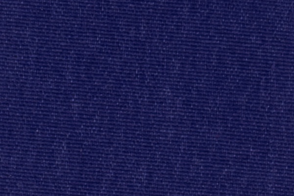 222705 Swatch