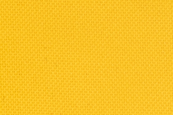 223302 Swatch