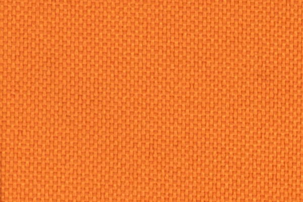 223303 Swatch