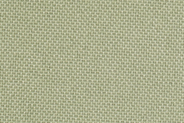 223304 Swatch