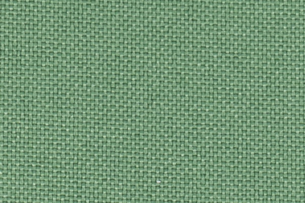 223305 Swatch