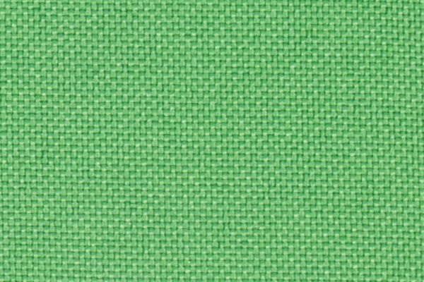 223306 Swatch