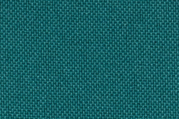 223307 Swatch