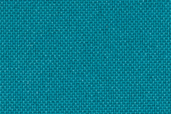 223308 Swatch