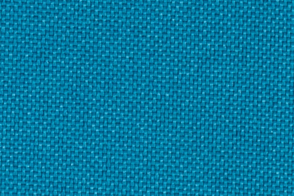 223309 Swatch