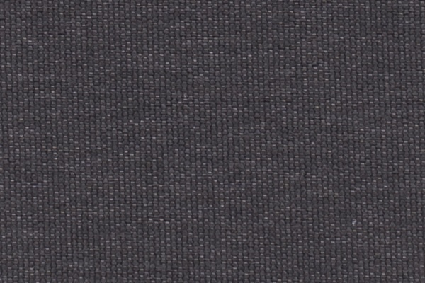 224005 Swatch