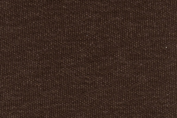 224009 Swatch