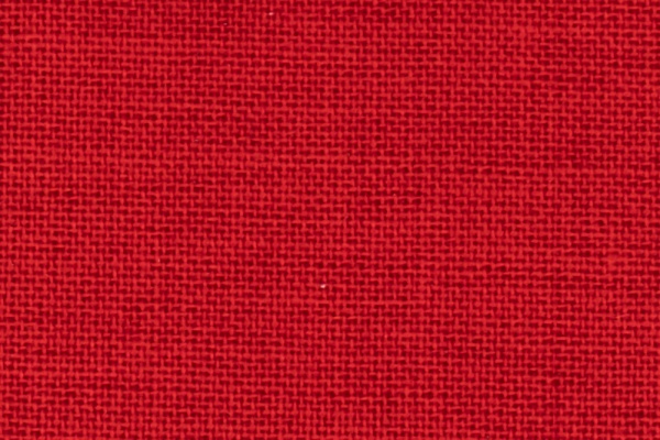 224105 Swatch