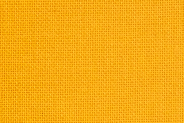 224107 Swatch