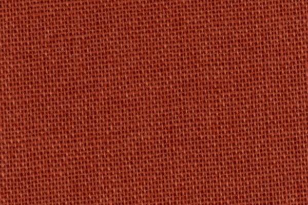 224109 Swatch