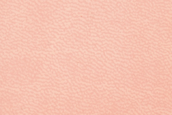 A50-05 Swatch