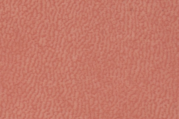 A52-57 Swatch