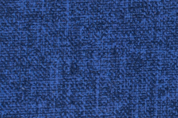 A55-06 Swatch