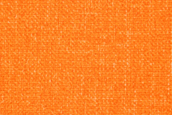 A55-08 Swatch