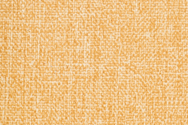 A55-10 Swatch