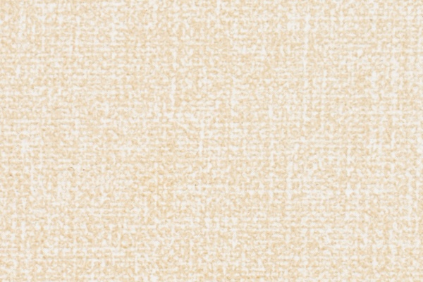 A55-23 Swatch