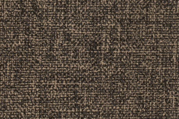 A55-25 Swatch