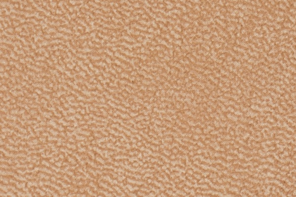 A62-31 Swatch