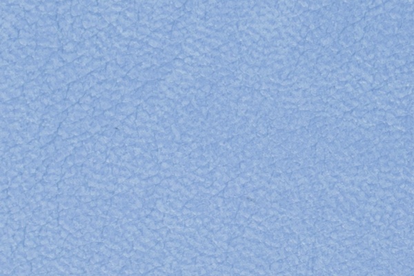A62-36 Swatch