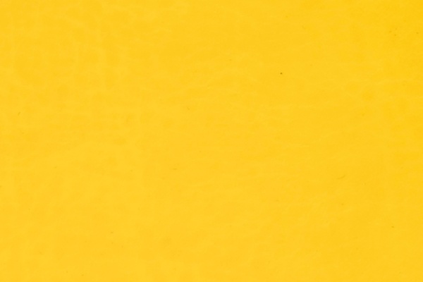 J24-29 Swatch