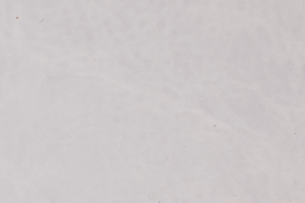 J24-62 Swatch